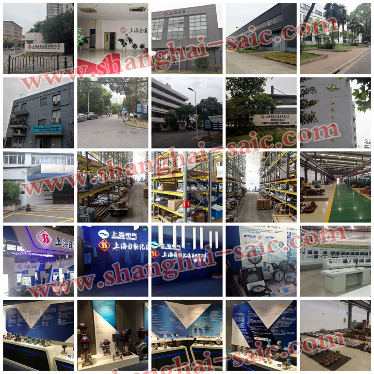 上海自动化仪表股份有限公司